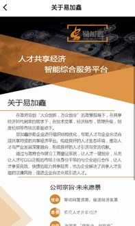 易加鑫 國內(nèi)貿(mào)易代理的崛起與價(jià)值探索